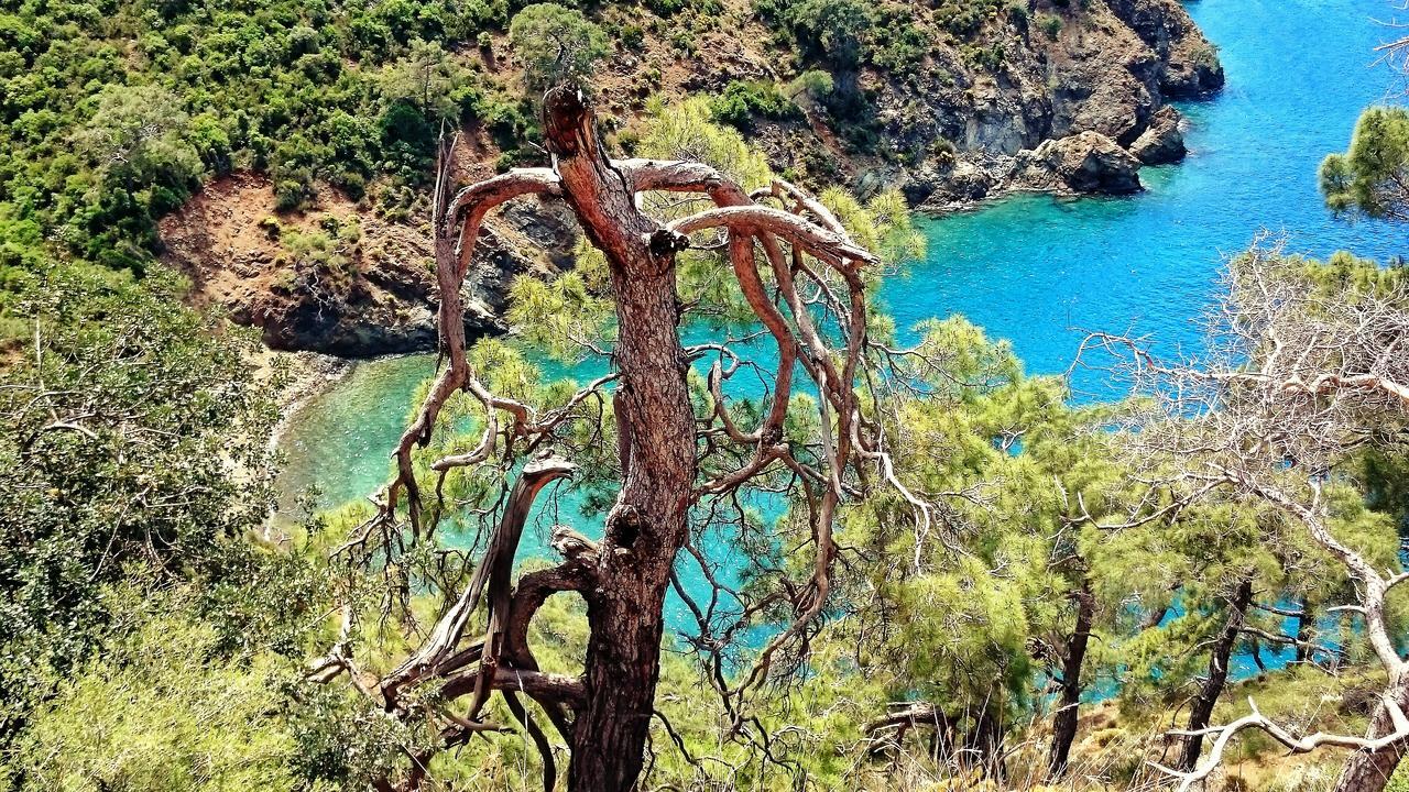 Utopia Lodge Hotel Ölüdeniz Dış mekan fotoğraf