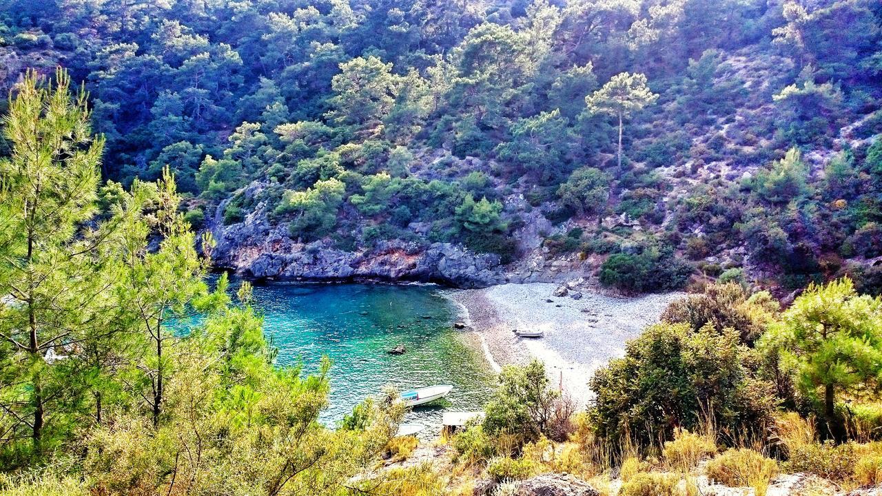 Utopia Lodge Hotel Ölüdeniz Dış mekan fotoğraf