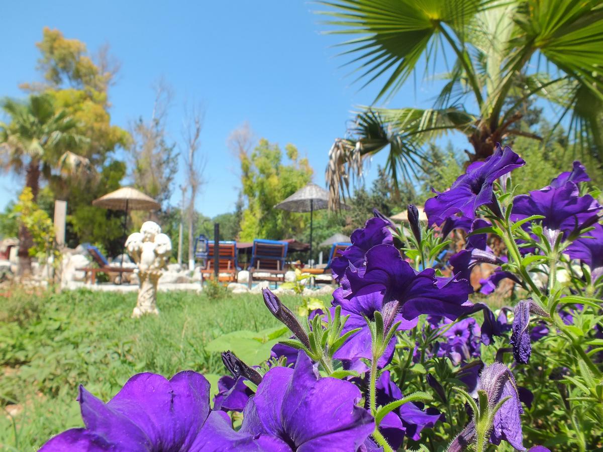 Utopia Lodge Hotel Ölüdeniz Dış mekan fotoğraf