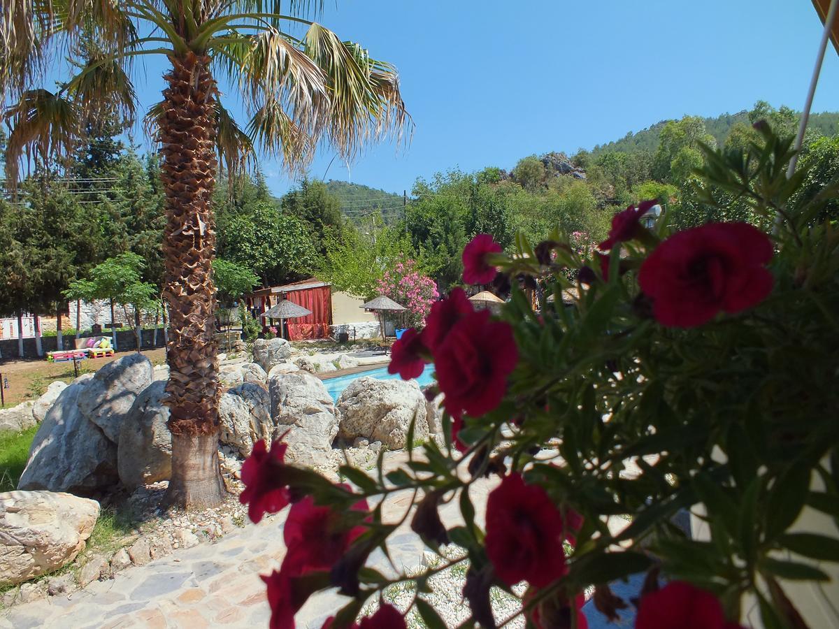 Utopia Lodge Hotel Ölüdeniz Dış mekan fotoğraf