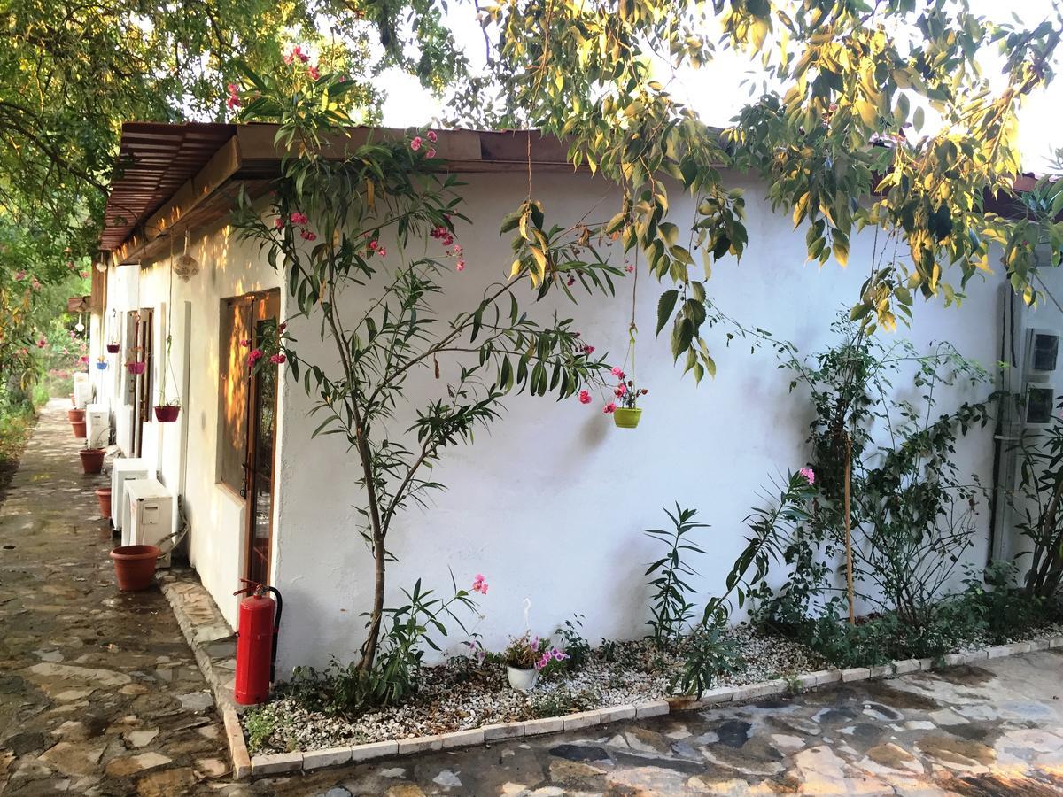 Utopia Lodge Hotel Ölüdeniz Dış mekan fotoğraf