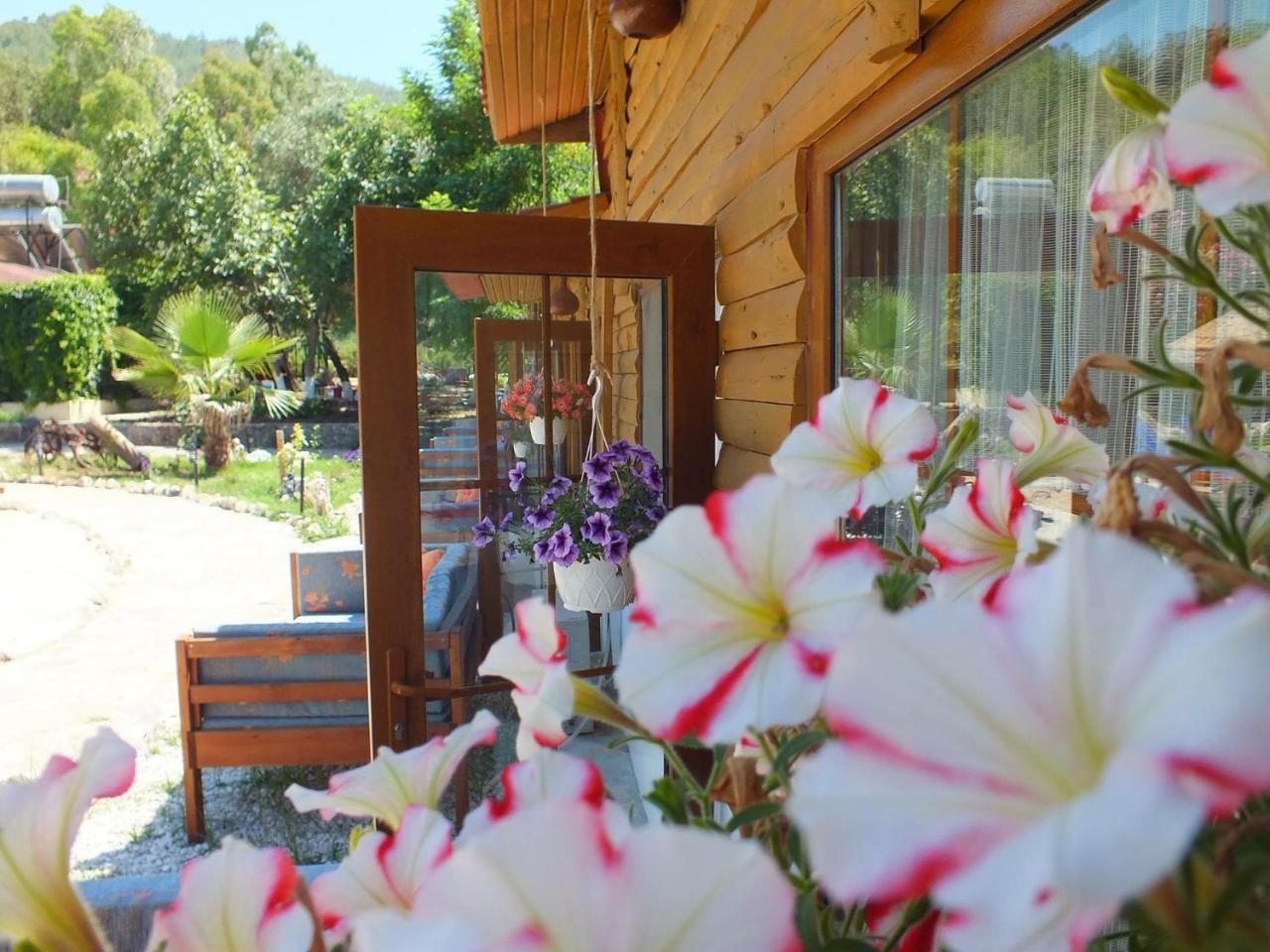 Utopia Lodge Hotel Ölüdeniz Dış mekan fotoğraf